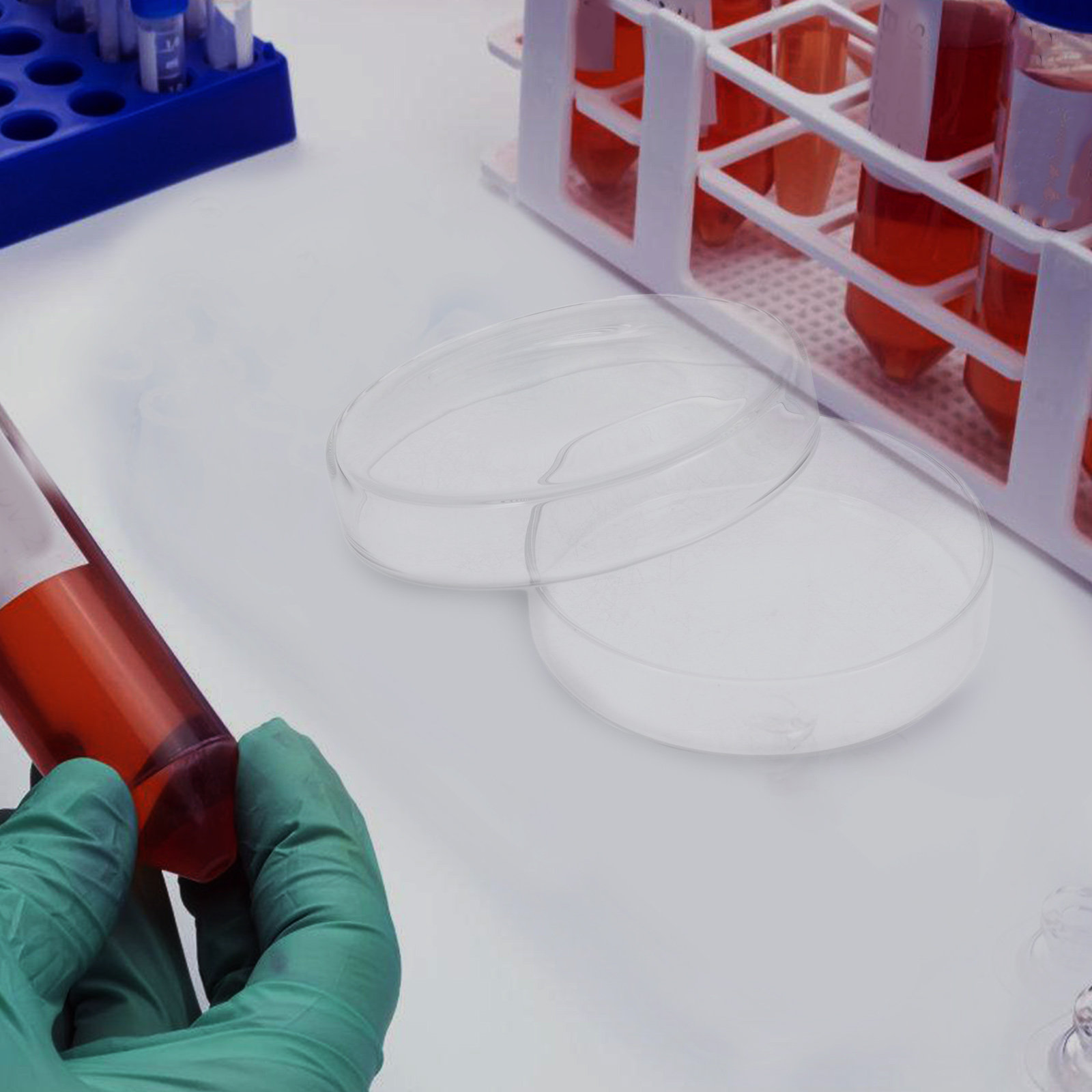 จานเพาะเลี้ยงเซลล์แก้วบอโรซิลิ - Agar Tissue Culture บทวิจารณ์และราคา